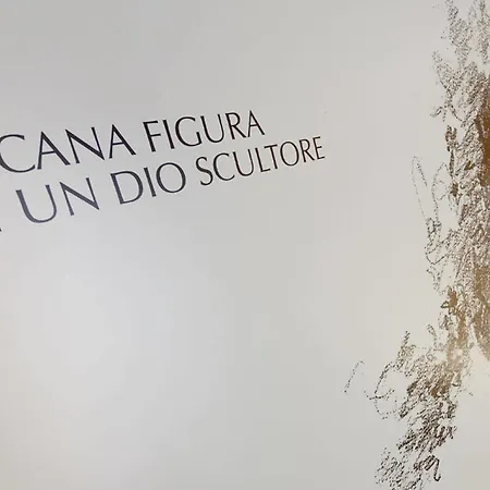 Santo Stefano Raro Collection 2*